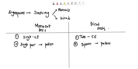 SOLVED: Prepare an album of monocot and dicot seeds. This a activity ...