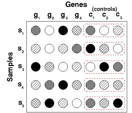 Positive and Negative Control Genes