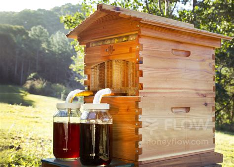 Flow Hive Good Design