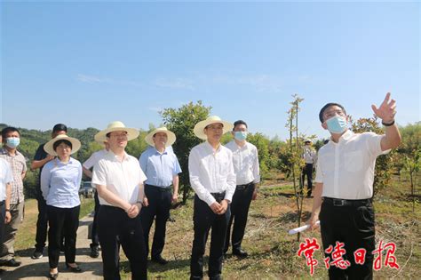 曹志强周振宇在桃源县、鼎城区调研时强调：以钉钉子精神推进尾矿库污染防治工作 常德 新湖南