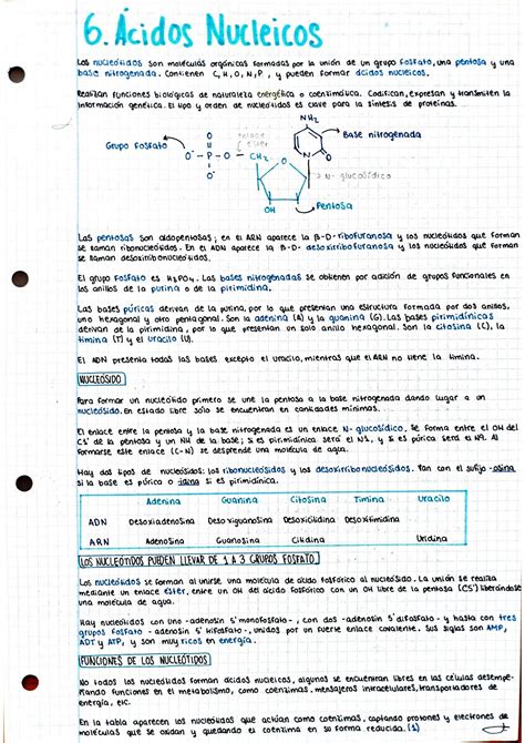 Solution Tema Cidos Nucleicos Studypool