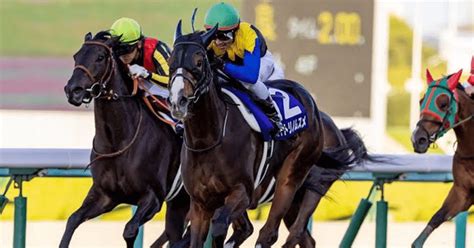 20221016日秋華賞阪神11r芝2000m1540発走｜さくら＠競馬予想