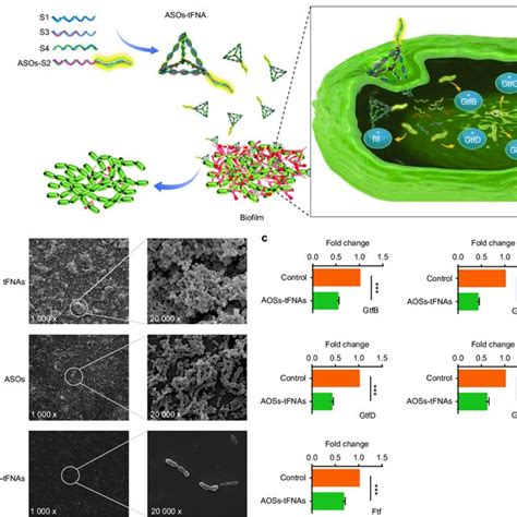 Pdf Advances In Regenerative Medicine Applications Of Tetrahedral