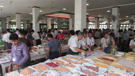 Myanmar Earns Mln From Over Mln Tonne Pulses Export In