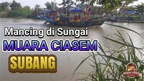 Mancing Di Sungai MUARA CIASEM SUBANG YouTube