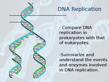 DNA Replication Ppt By BioDiva TPT