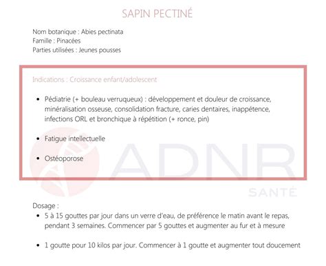 Sapin pectiné ADNR Santé