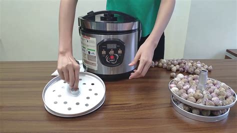 How To Use NPET GF10 Black Garlic Fermenter YouTube