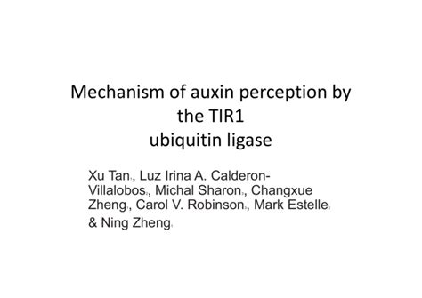 Mechanism Of Auxin Perception By The Tir Tir Ubiquitin Ligase Q G