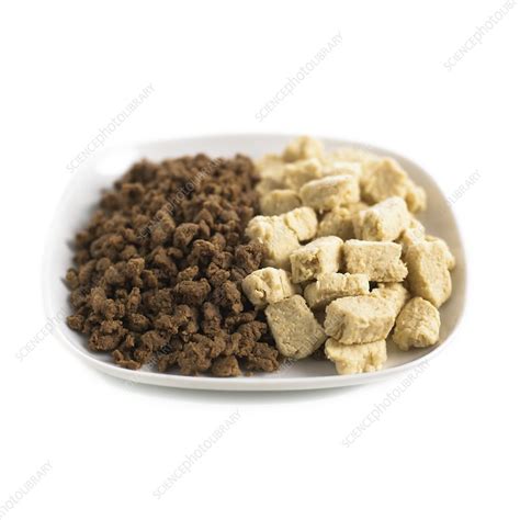 Meat substitutes - Stock Image - F012/2480 - Science Photo Library