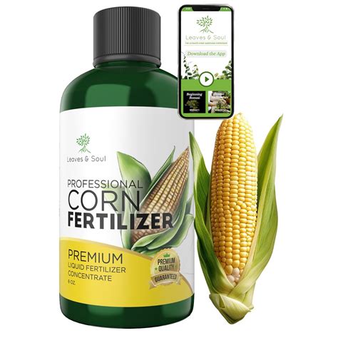 Leaves And Soul Professional Liquid Corn Fertilizer 5 1 5 Concentrate Liquid