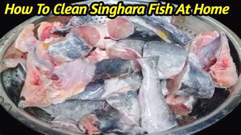 How To Clean Singhara Fish At Home How To Fillet A Fish Machli Ko