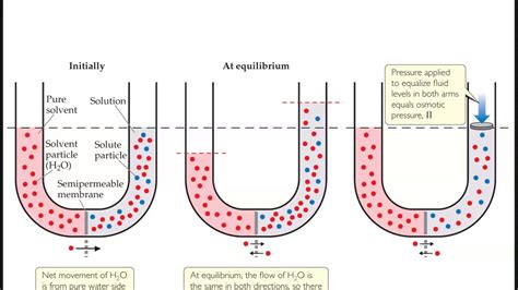 Chm 130 Chapter 12 Ep 4 Colligative Properties YouTube