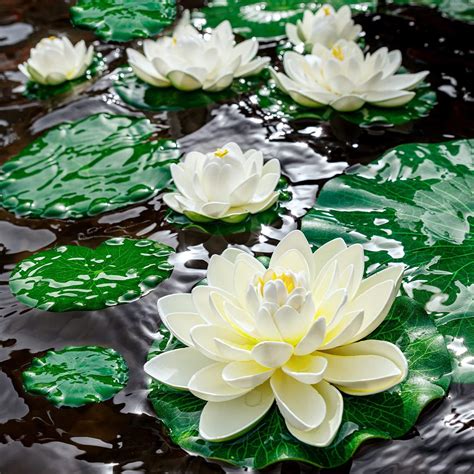 Ffniu Lily Pad For Ponds Pcs Artificial Lotus Realistic Water