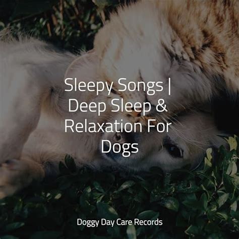 Sleepy Songs | Deep Sleep & Relaxation For Dogs by Music For Dogs on ...