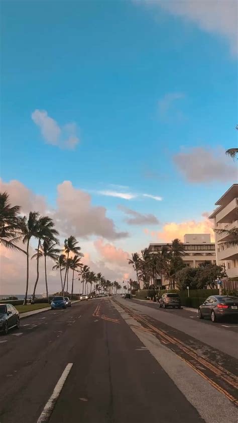 Beach Aesthetic Sunrise Sunset Palm Beach Beach Sunset Summer Aesthetic Florida Aesthetic