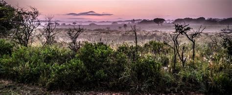 iSimangaliso Wetland Park - UNESCO Map | Mapotic