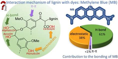 揭示木质素与分子相互作用的本质：亚甲基蓝染料吸附的机理理解biomacromolecules X Mol