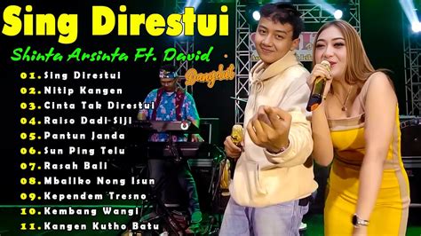 Shinta Arsinta Feat David Terbaru 2023 Full Album Dangdut Koplo