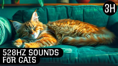 How To Achieve Purrfect Harmony 528Hz Music For Cat Relaxation