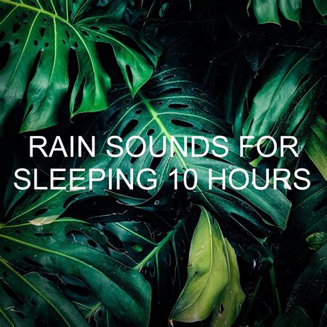 Soothing Rain Sounds Nature Sounds Nature Music、sounds Of Nature Noise