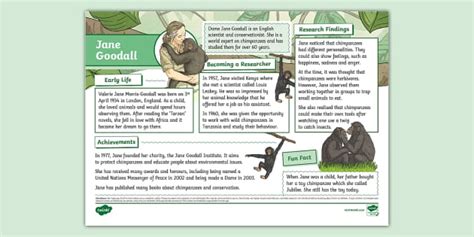 Ks Jane Goodall Fact File Ks Professor Feito Twinkl