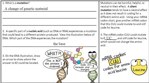 [Solved] pls help :(. Amoeba Sisters Video Recap: Mutations (Updated ...