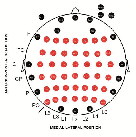 Position Of 58 Scalp Electrodes For Eeg Recording Red Labels Indicate