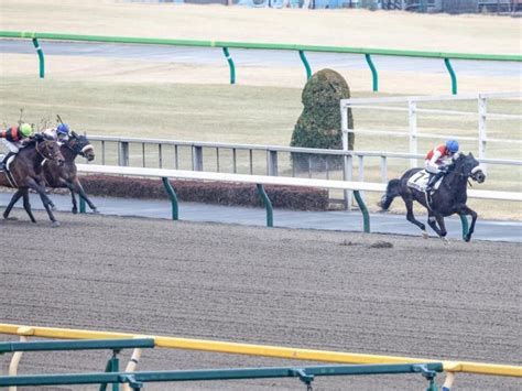 【メイクデビュー東京4rレース後コメント】ショウナンダール丸山元気騎手ら 競馬ニュース Netkeiba