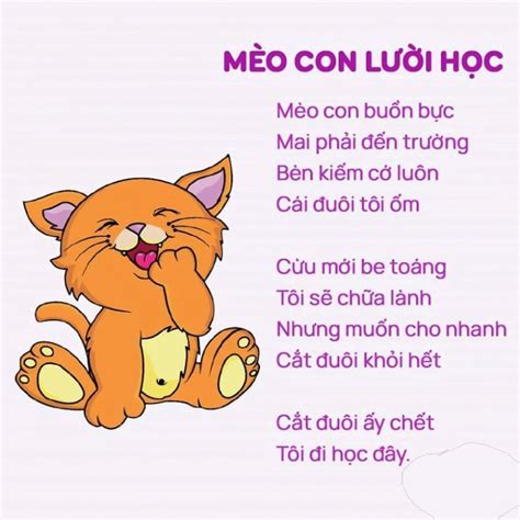 Những hình ảnh đáng thương về hình ảnh mèo con bị ốm cần sự quan tâm và