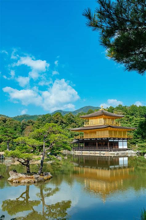 Top 5 Kyoto Shrine Destinations