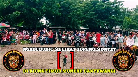 Ngabuburit Sambil Liat Atraksi Monyet Di Ujung Timur Muncar Banyuwangi