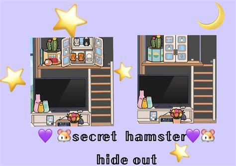 𝚂𝚎𝚌𝚛𝚎𝚝 𝚑𝚊𝚖𝚜𝚝𝚎𝚛 𝚑𝚒𝚍𝚎 𝚘𝚞𝚝シ Hamster Secret Hide