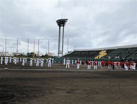 広島・新井監督「みんなmvpですね、みんなレベルアップしている」若手選手のアピールで競争激化にニンマリ：中日スポーツ・東京中日スポーツ