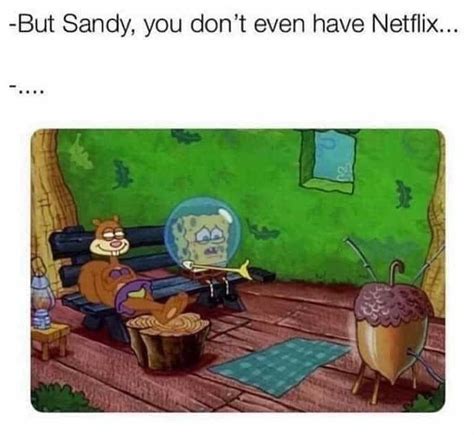 Netflix And Chill Meme Captions Cute Viral