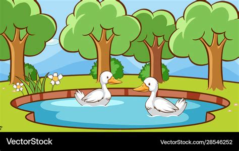 Scene With Ducks In Pond Royalty Free Vector Image