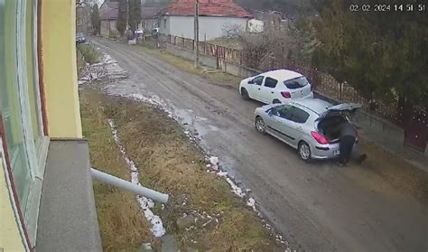 Bărbat din Cluj prins pe camere când abandona trei câini Aceste