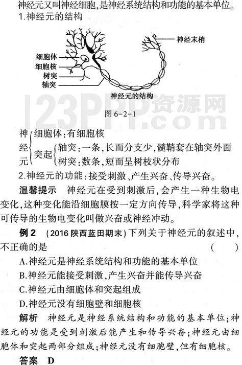 初一生物人教版七年级下册第6章第2节《神经系统的组成》教材全解 123ppp资源网