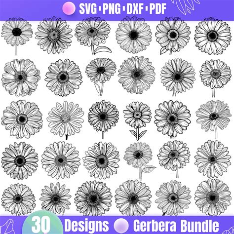 High Quality Gerbera SVG Bundle Gerbera Dxf Gerbera Png Gerbera