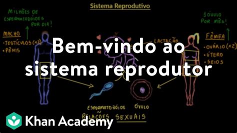 Bem Vindo Ao Sistema Reprodutor Youtube