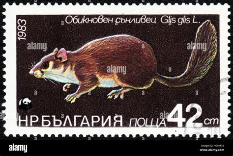 A Postage Stamp Printed In Bulgaria Shows Rodent Edible Dormouse Glis