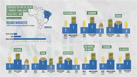 Ranking de produção agrícola no Brasil junho de 2022