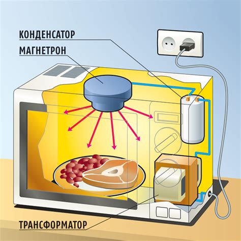 El Principio De Funcionamiento Y La Estructura Interna Del Horno