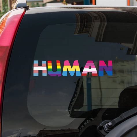 Swavecat Human Pansexual Bisexual Lgbtq Window Bumper