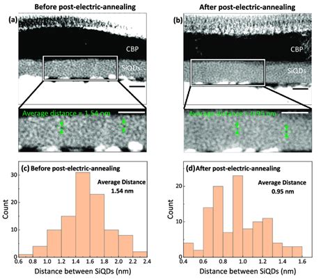 Cross Sectional Haadf Stem Images Of Si Qleds And Histogram Of Distance