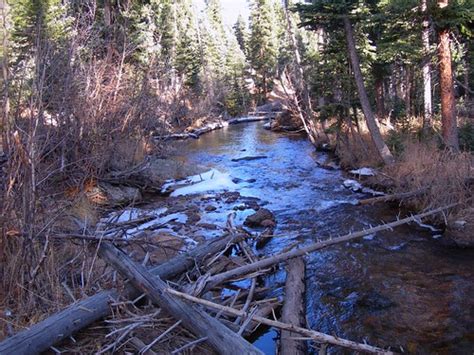 Bear Lake Trail - Colorado | AllTrails.com