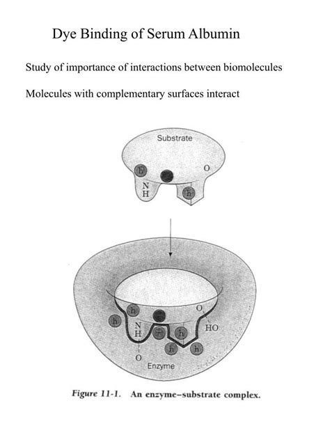PPT - Dye Binding of Serum Albumin PowerPoint Presentation, free ...