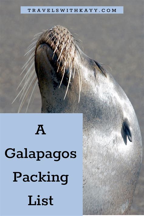 The Ultimate Galapagos Packing List For A Cruise Artofit