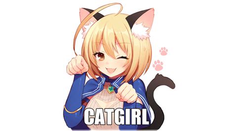 Cat Girl Know Your Meme