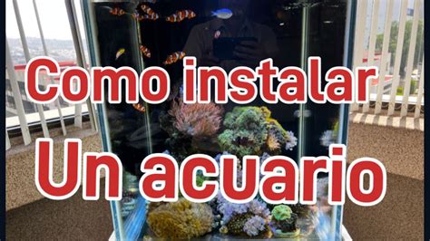 C Mo Instalar Un Acuario Materiales Y Como Hacerlo Youtube